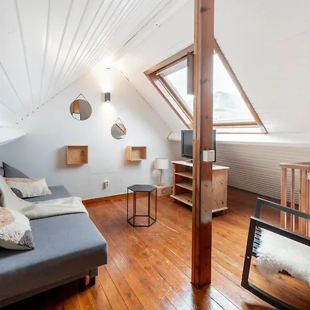 Cosy Penthouse In City Center Apartment Antwerpen
